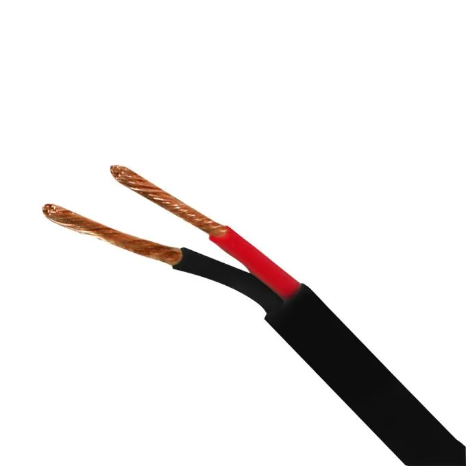 Speaker Wire